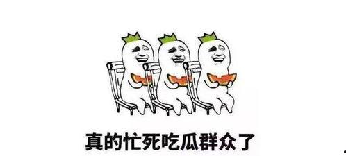 资深娱乐吃瓜群众